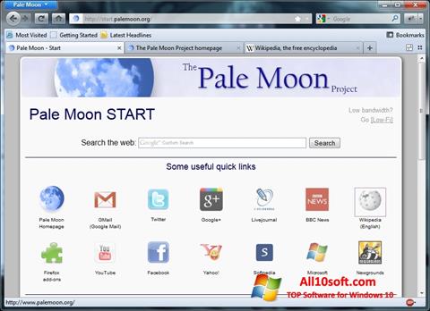 Snimak zaslona Pale Moon Windows 10