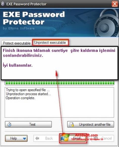 Snimak zaslona EXE Password Windows 10